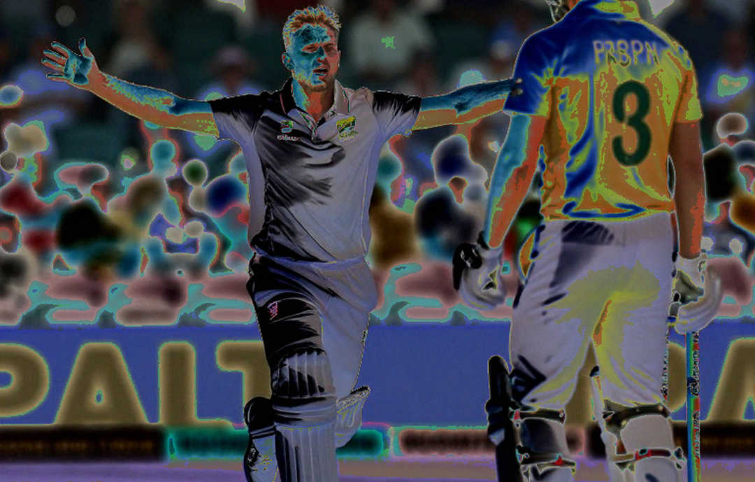 The Roar of an Empty File: The Discipline of Silence in Cricket Analysis