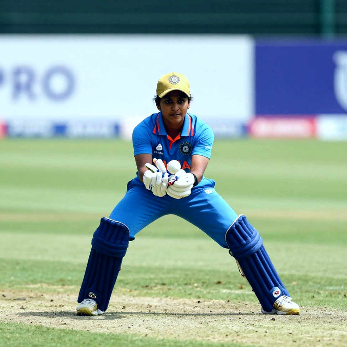 Poems from an Empty Scorecard: When Cricket Analysis Chases Its Own Shadow