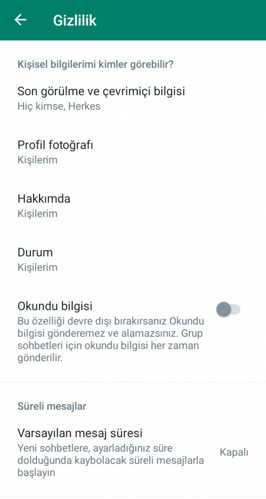 WhatsApp'ta çevrimiçi özelliğini kapatma