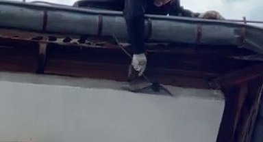 Boğazına ip dolanan ebabil kuşunun yardımına itfaiye koştu