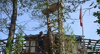 Görenler gözlerine inanamıyor, araçların dallarında meyve değil tabut var