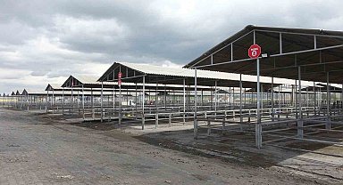 Kurban Bayram'ı öncesi Sivas'ta tüm hayvan pazarları kapatıldı