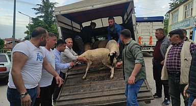 Mahalle muhtarı Cumhurbaşkanı Erdoğan için 7 küçükbaş hayvan kestirdi