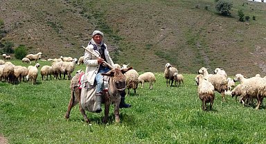 Yozgat'ta 16 bin lira maaşlı iş, Türkler beğenmeyince Afganlara kaldı