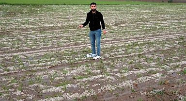 Yozgat'ta dolu tarım arazilerine zarar verdi