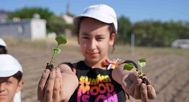 Ata tohumu ve lavantadan sonra ekinezya da Seferihisar tarımının yeni yıldızı olacak