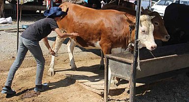 Bayram yaklaştı pazarlıklar kızıştı