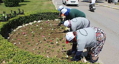 Burhaniye çiçeklerle renkleniyor