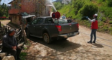 Çekirgelerin istila ettiği köyde ilaçlama çalışmaları başlatıldı