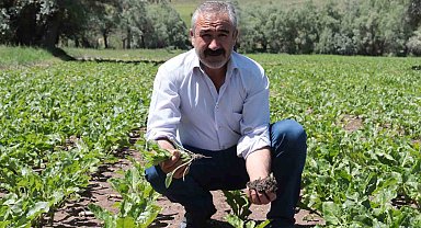 Çiftçiyi elektrik çarptı