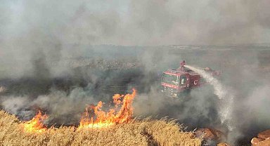 Gaziantep'te 7 bin dönüm buğday tarlası yandı