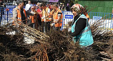Isparta Belediyesinin dağıttığı fidan sayısı 72 bine ulaştı