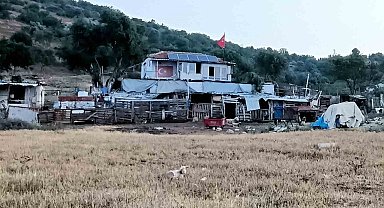 İzmir'de çiftlik evinde korkunç cinayet