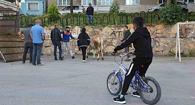 Kurban kesim alanları oyun parkına döndü