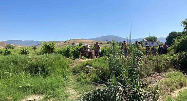 Kuşu vurmak isterken komşusunu vurdu