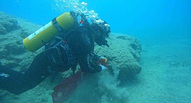 Ölüdeniz'de su altı ve koy temizliği yapıldı