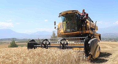 Pamukkale'de hasat başladı