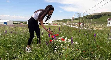 Rengarenk çiçekler doğayı canlandırdı