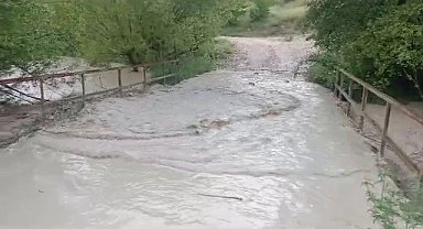 Sağanak yağış ekili arazileri sular altında bıraktı