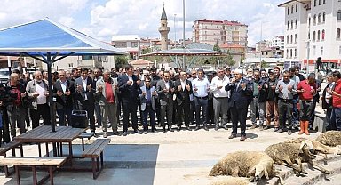 Yağışlara sevinen çiftçiler şükür kurbanı kesti