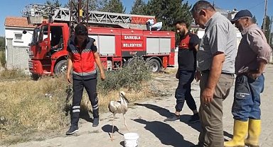 Ayağına ip dolanan leyleği itfaiye ekipleri kurtardı