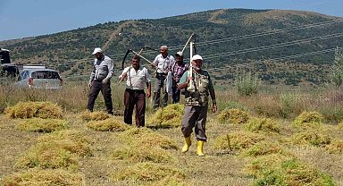 Aylıkları 30 bin liraya geliyor ancak sayıları her geçen gün azalıyor