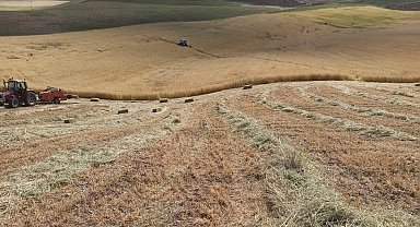 Dengesini kaybedip düştü, traktörün üzerinden geçmesiyle hayatını kaybetti