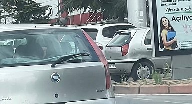 Güvercin otomobilin tavanına kondu, şehir turu attı