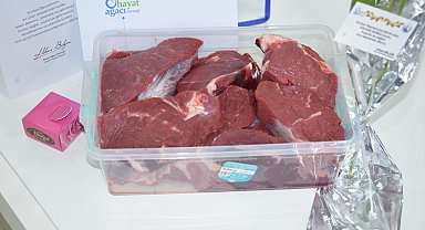 Hayat Ağacı Derneğinde 64 adet büyükbaş 41 adet küçükbaş kurban kesildi