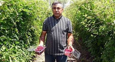 Hobi olarak üretmeye başlamıştı şimdi taleplere yetişemiyor, bahçeden çıkmadan ürünler tükeniyor