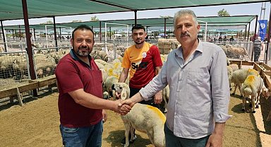 Kayserililerin kurban tercihi küçükbaş hayvan oldu
