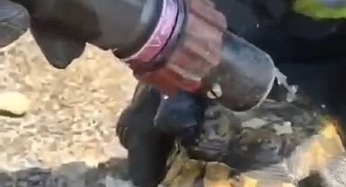 Mahsur kalan kaplumbağaları itfaiye kurtardı