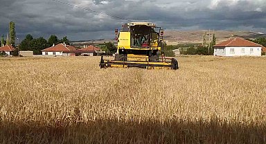 Tahıl ambarında arpa hasadı başladı