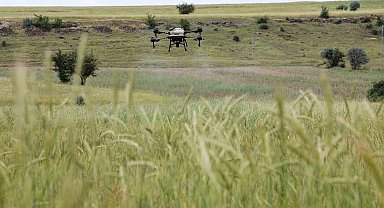 Talas'ta drone ile ilaçlama devri