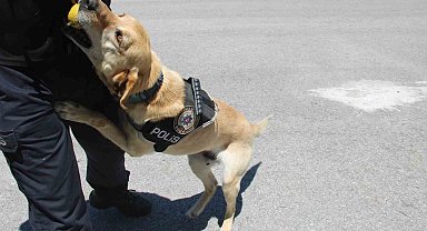 Uyuşturucu tacirlerinin korkulu rüyası 'Jack'