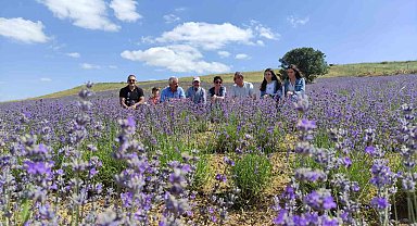 Yurt dışından geldi, bozkırı lavantaya bürüdü