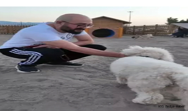 Büyükşehir Belediyesi’nin köpek eğitim parkuruna yoğun ilgi