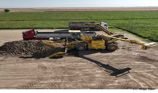 Kayseri’de şeker pancarı hasadı başladı
