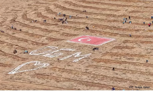 Kayseri’de 35 bin fidan dikildi