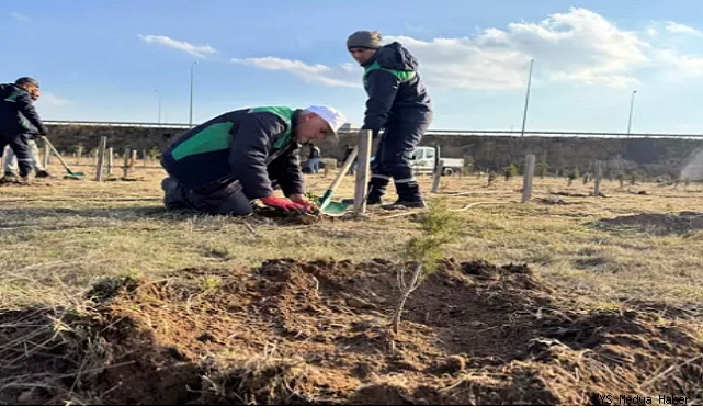 Kayseri’de 3 bin 200 fidan dikildi