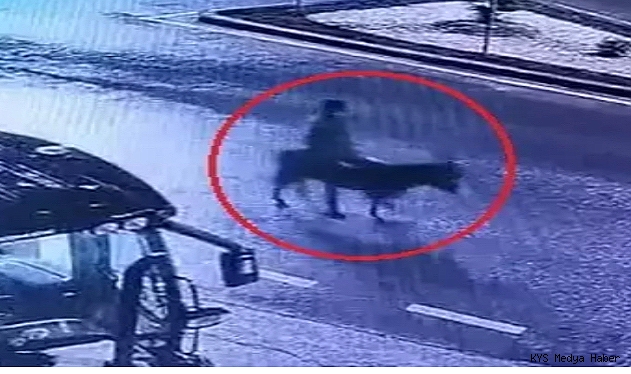 Forkliftle kuyumcu soyup eşekle kaçan şüpheli: Yaşadığım maddi sıkıntılar aklıma geldi