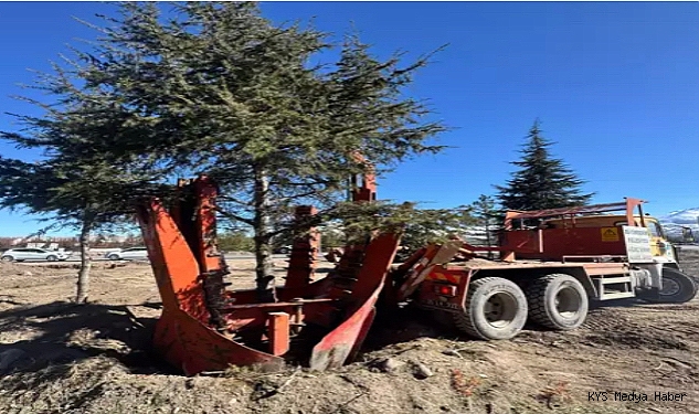 Büyükşehir Belediyesi, Kartal Kavşağı Projesi öncesi ağaçları taşıyor