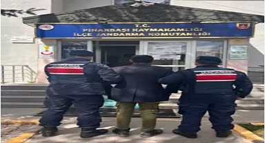 Çok yediğini iddia ettiği köpeğini ağaca asıp öldüren şüpheli tutuklandı