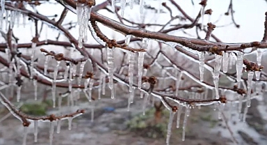 Elma üreticisi, zirai dona karşı 'Spring' yöntemini uyguladı