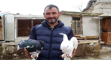 Hobi olarak başladığı güvercin tutkusunu 35 yıldır sürdürüyor