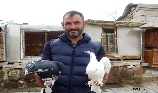 Hobi olarak başladığı güvercin tutkusunu 35 yıldır sürdürüyor