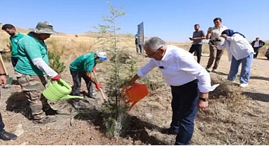 Kayseri Büyükşehir Belediyesi'nden son 7 yılda 786 bin fidan 