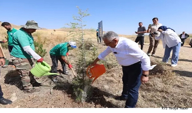 Kayseri Büyükşehir Belediyesi'nden son 7 yılda 786 bin fidan 