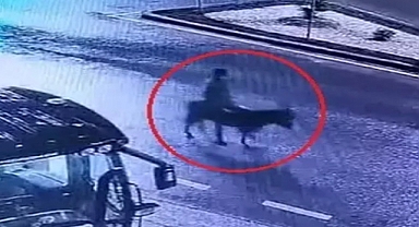 Kuyumcu dükkanından ziynet eşyası çalıp, eşekle kaçan sanığın verdiği zarar hesaplanacak